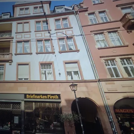 Central Apartment In Frankfurt *